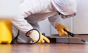 Best Pest Prevention Services  in Dellwood, MO